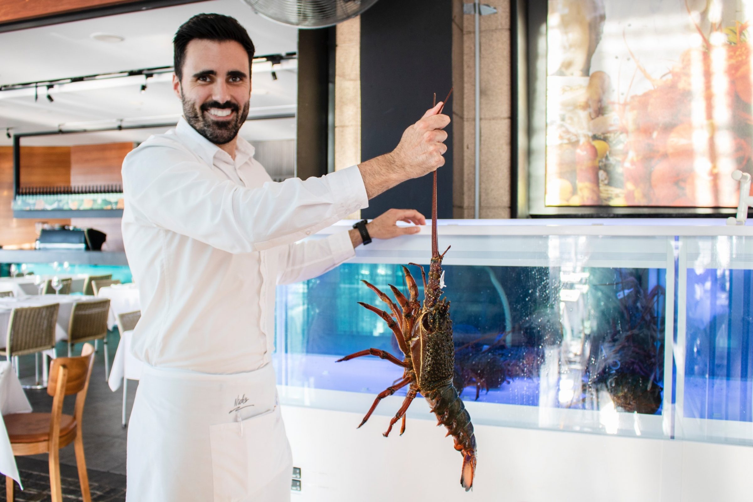 Nick’s Group offers some of the best lobsters in the WORLD Nick’s Group offers some of the best lobsters in the WORLD